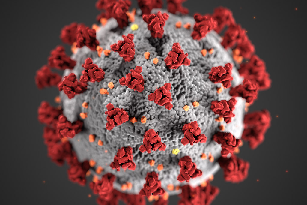 Foto eines Virus